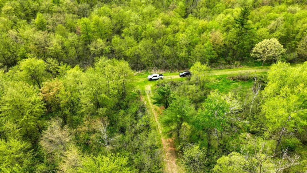 138 - Wooded Turn-Key Acres Monroe County featured image