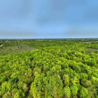138 - Wooded Turn-Key Acres Monroe County images 2
