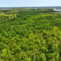 138 - Wooded Turn-Key Acres Monroe County images 3