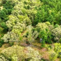 138 - Wooded Turn-Key Acres Monroe County images 5