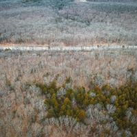 Old Highway 50 Acres- Tract 4 images 3
