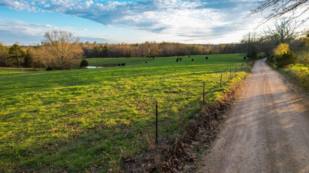 Freedom Road Farm featured image