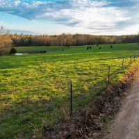 Freedom Road Farm images 1