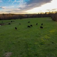 Freedom Road Farm images 2
