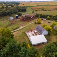 Winneshiek County Iowa 48 - Acre Property images 1
