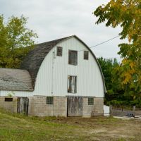 Winneshiek County Iowa 48 - Acre Property images 4