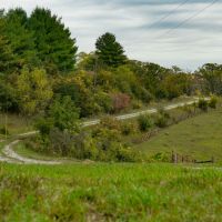 Winneshiek County Iowa 48 - Acre Property images 5