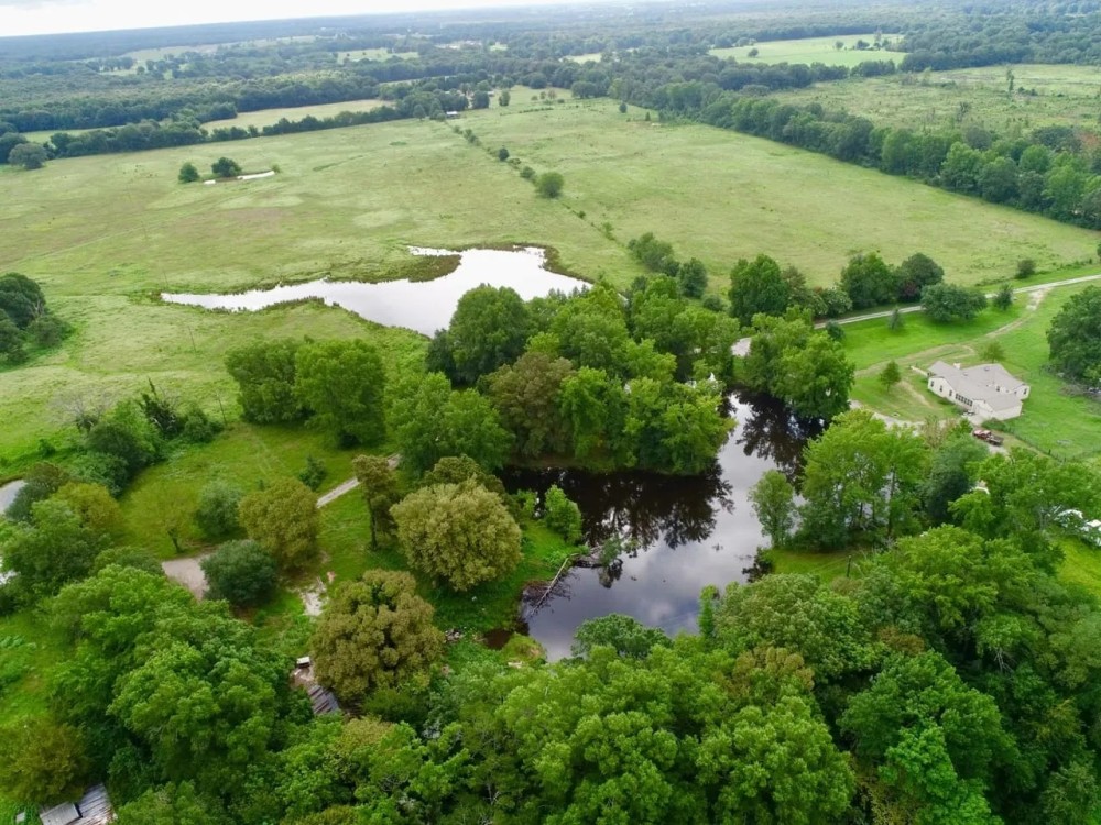 Detroit Ranch featured image