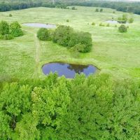Detroit Ranch images 2