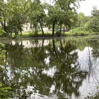 Detroit Ranch images 4