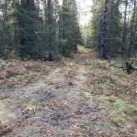 722 Acre Diverse Property 50093420 images 2