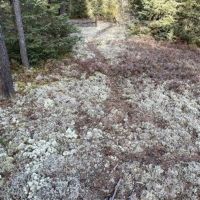 722 Acre Diverse Property 50093420 images 4
