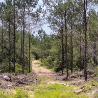 26 acres FM 92 T-13 images 2