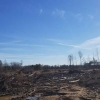 Highway 127 Tract B LaSalle Parish 64.15 Acres - images 4