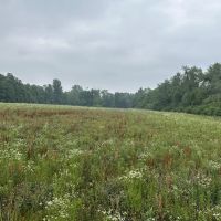 LAND FOR SALE - 11.96 ACRES MIXED HABITAT TILLABLE - CAMBRIDGE CITY INDIANA - HENRY COUNTY images 2