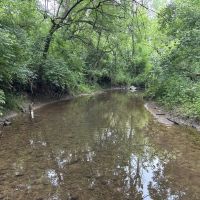 LAND FOR SALE - 11.96 ACRES MIXED HABITAT TILLABLE - CAMBRIDGE CITY INDIANA - HENRY COUNTY images 3