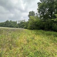 LAND FOR SALE - 11.96 ACRES MIXED HABITAT TILLABLE - CAMBRIDGE CITY INDIANA - HENRY COUNTY images 4