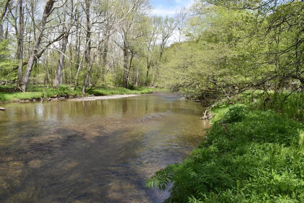 Wiscoy Fish Farm featured image