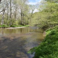 Wiscoy Fish Farm