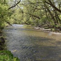 Wiscoy Fish Farm images 2