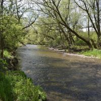 Wiscoy Fish Farm images 3