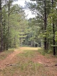 287 Acres in Madison County in Canton MS featured image