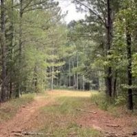 287 Acres in Madison County in Canton MS