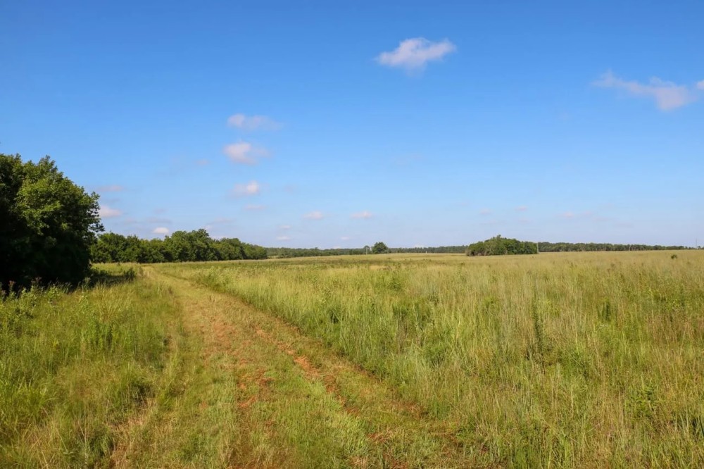 Lowndes County - 338 Acre - Prairie Paradise featured image