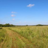 Lowndes County - 338 Acre - Prairie Paradise