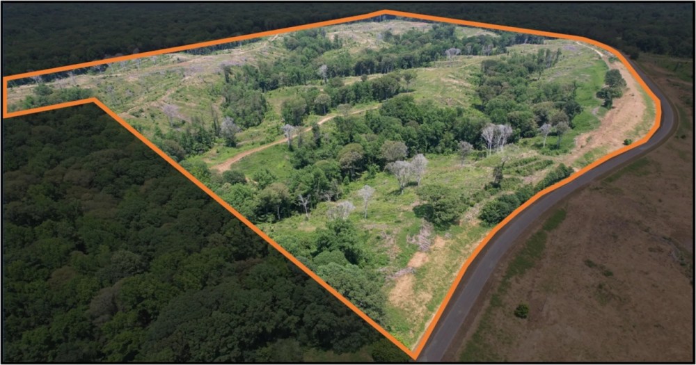 159.1 Acres in Holmes County in Lexington MS featured image