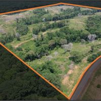 159.1 Acres in Holmes County in Lexington MS
