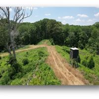 159.1 Acres in Holmes County in Lexington MS images 2