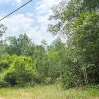 14.5 Acres FM 2937 A-6 Silsbee Stake images 2