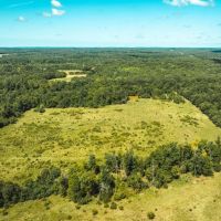 Eastern Ozark Border Pasturelands Tract 1 images 4