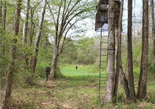 42 Acres in Holmes County in Lexington MS featured image