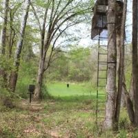 42 Acres in Holmes County in Lexington MS