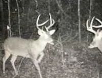 42 Acres in Holmes County in Lexington MS images 3