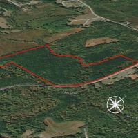 49 acres of Multi-Use Land for Sale in Person County NC images 4