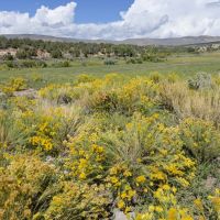 Little Mountain Deep Creek Ranch