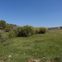 Little Mountain Deep Creek Ranch images 2