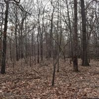 State Line images 2