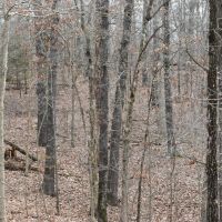 State Line images 3