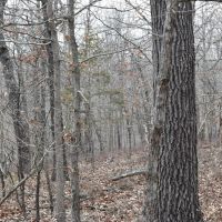State Line images 4