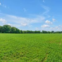 151.7 Acres in Macon County Tennessee - Charming Farmhouse on Expansive Cropland images 2