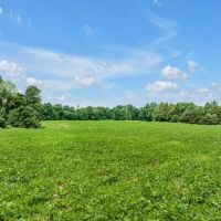 151.7 Acres in Macon County Tennessee - Charming Farmhouse on Expansive Cropland images 4