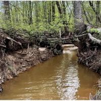 256 Acres in Webster County Eupora MS