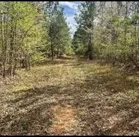 256 Acres in Webster County Eupora MS images 2