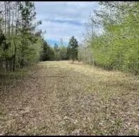 256 Acres in Webster County Eupora MS images 3