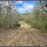 256 Acres in Webster County Eupora MS images 4