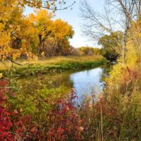 Tongue River Refuge